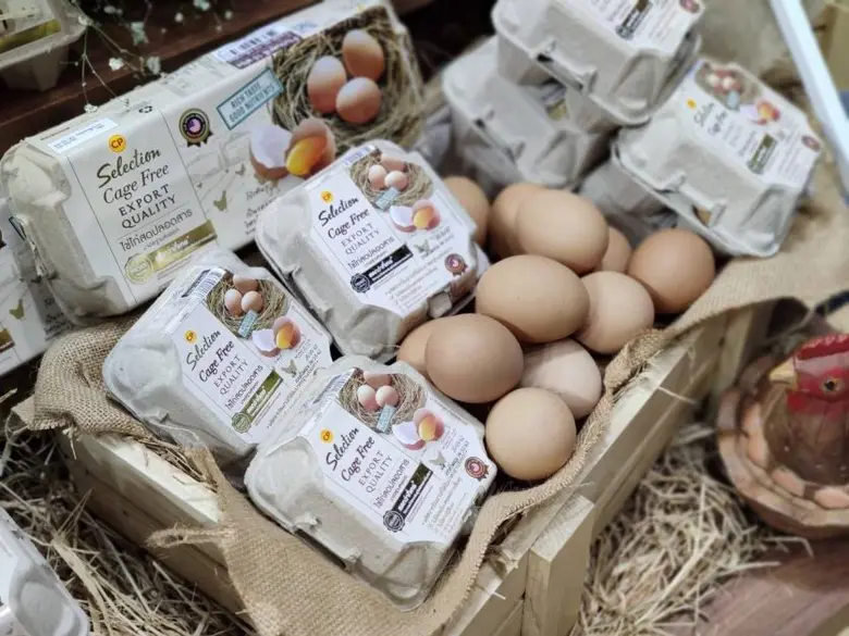 ซีพีเอฟ เตรียมพร้อมนำ ฟาร์มวังสมบูรณ์ ขอรับรองมาตรฐานฟาร์มไก่ไข่เคจฟรีของกรมปศุสัตว์