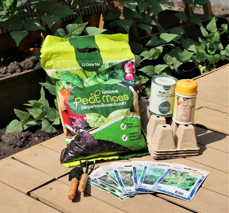 กลับมาอีกครั้งกับ "ชุดปลูกผักอยู่บ้านปลอด...