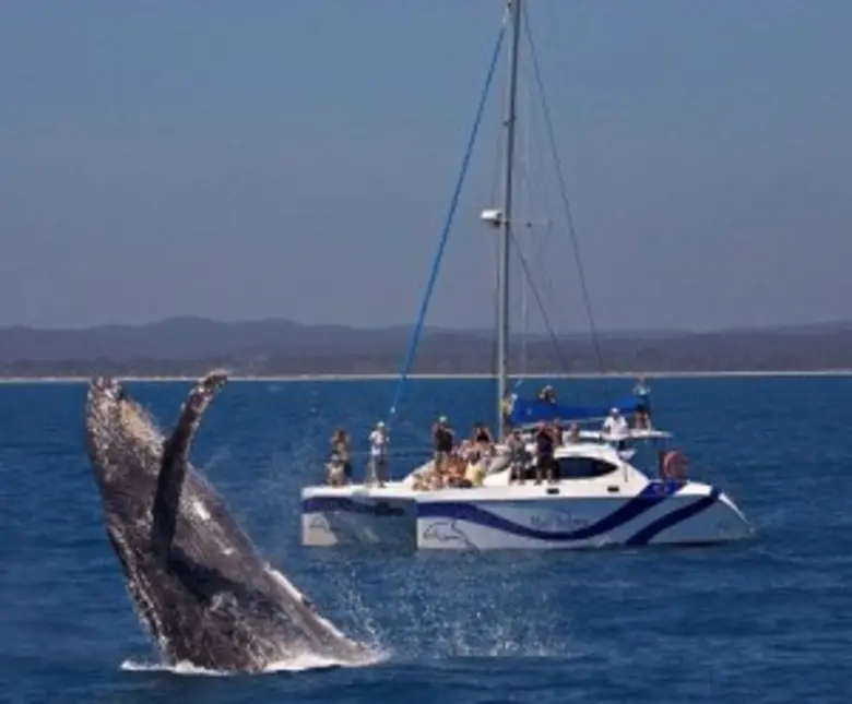 พื้นที่คุ้มครองทางทะเล Tenerife La Gomera...