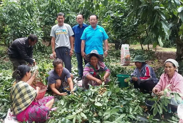 เกษตรฯ เผยผลประชุม "Fruit Board" ครั้งที่ 2 เตรียมเสนอ ครม. ขอขยายเวลาจ่ายเงินเยียวยาชาวสวนลำไย ปี 2563 เพิ่มเติม