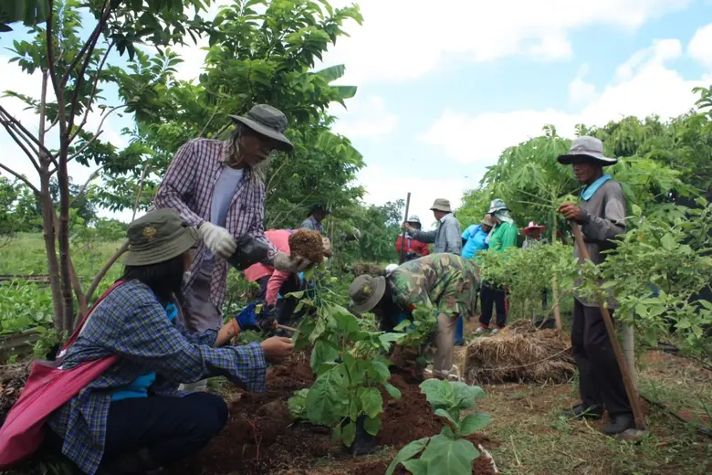 ชุมชนรอบพื้นที่เขาพระยาเดินธง อ.พัฒนานิคม...
