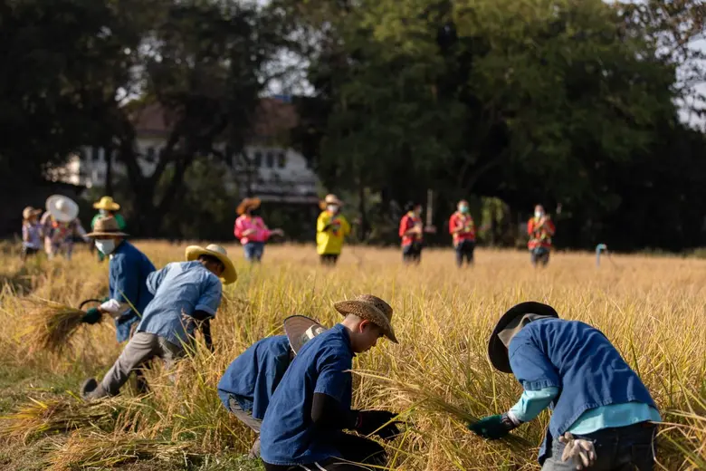 "ดุสิตธานี" สู้ไม่ถอย แม้จะได้รับผลกระทบจ...