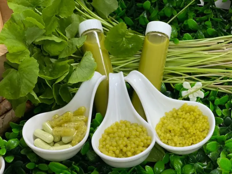 จุฬาฯ จดสิทธิบัตร เทคโนโลยีโภชนาการแห่งอนาคต "หุ่นยนต์ชีวภาพนำส่งสารสกัดจากสมุนไพรไทย"