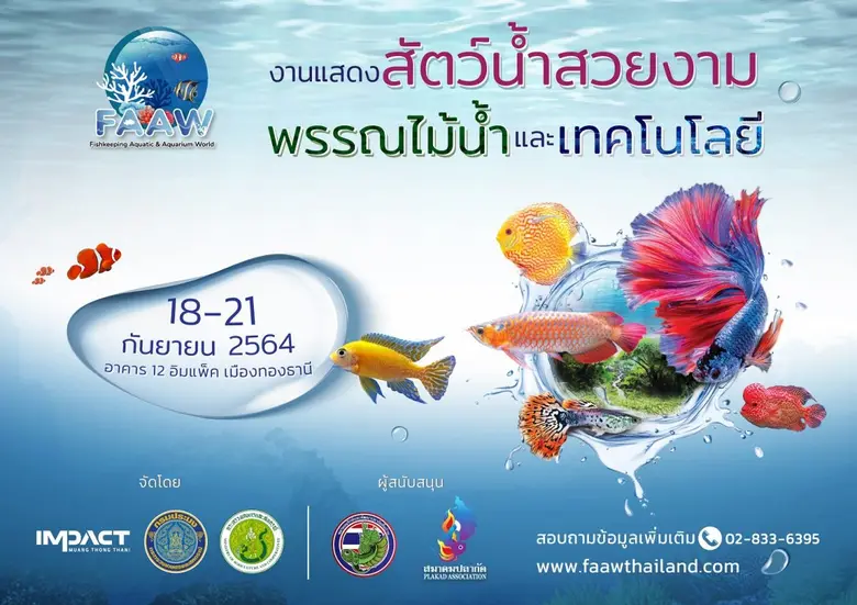 อิมแพ็ค พร้อม กรมประมง กระทรวงเกษตรและสหกรณ์ เจ้าภา...