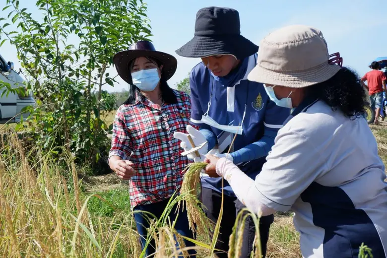 คณะพาณิชยศาสตร์ฯ ม.อ.ตรัง ร่วมกิจกรรมเปิดโลกที่โคกสะบ้า จัดโดย ศูนย์อาสาสมัคร ม.อ. วิทยาเขตตรัง
