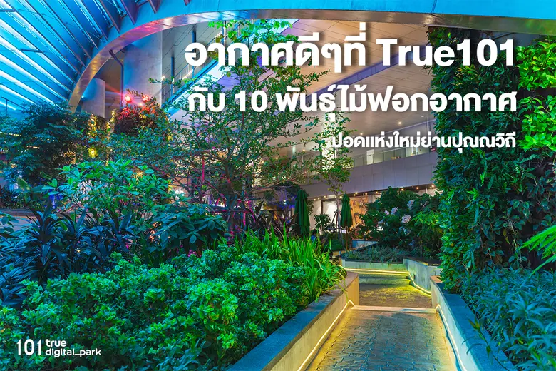 ศูนย์การค้า 101 True Digital Park ปุณณวิถ...