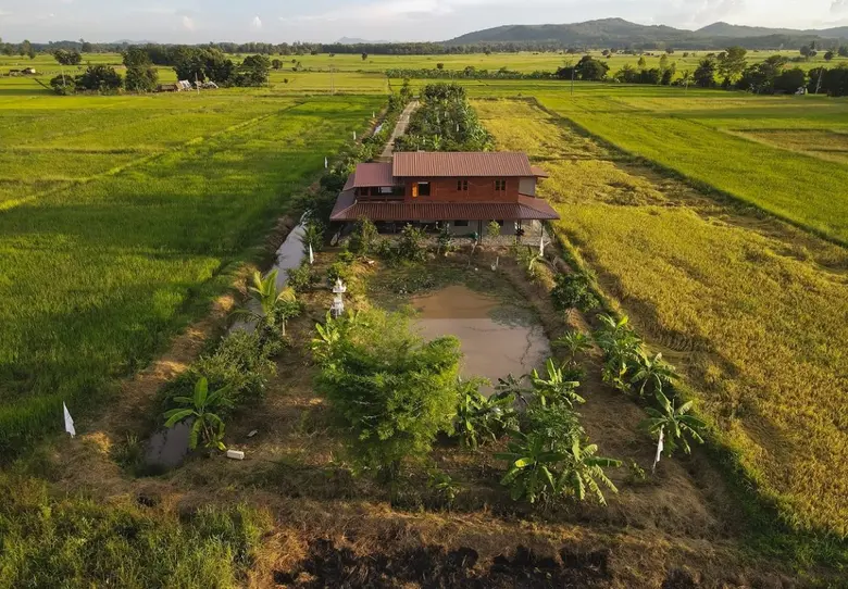 การจัดการพื้นที่การเกษตรแบบโคก หนอง นา โม...