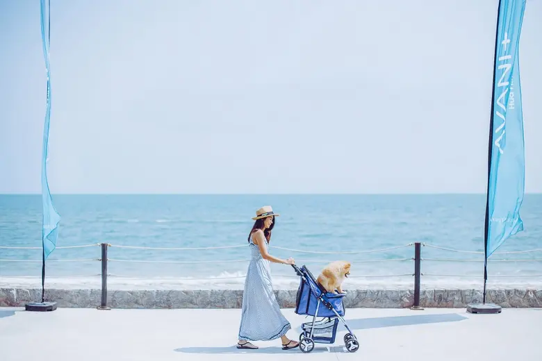 อวานี พลัส หัวหิน นำเสนอแพ็กเกจใหม่ล่าสุด...