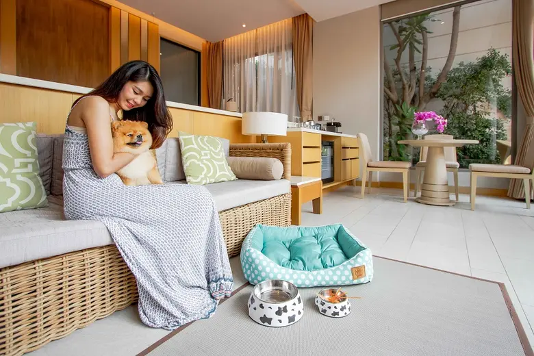 พาเพื่อนสี่ขาไปเที่ยวทะเล กับแพ็กเกจสำหรับคนรักสุนัข จาก อวานี พลัส หัวหิน