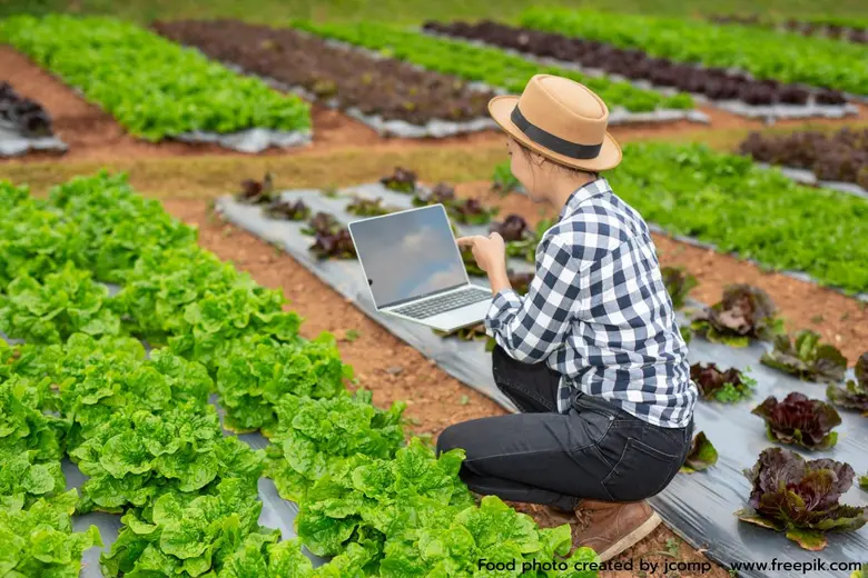 การบริหารจัดการซัพพลายเชน: ก้าวต่อไปของธุรกิจอาหารและเครื่องดื่ม