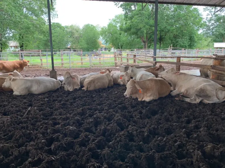 นางอัญชนา ตราโช รองเลขาธิการสำนักงานเศรษฐ...