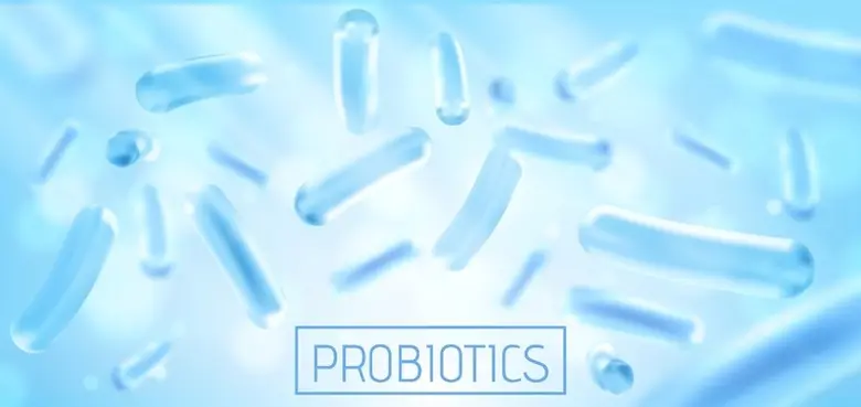 ดร. Ching-Chiung Wang ผู้อำนวยการสถาบันบั...