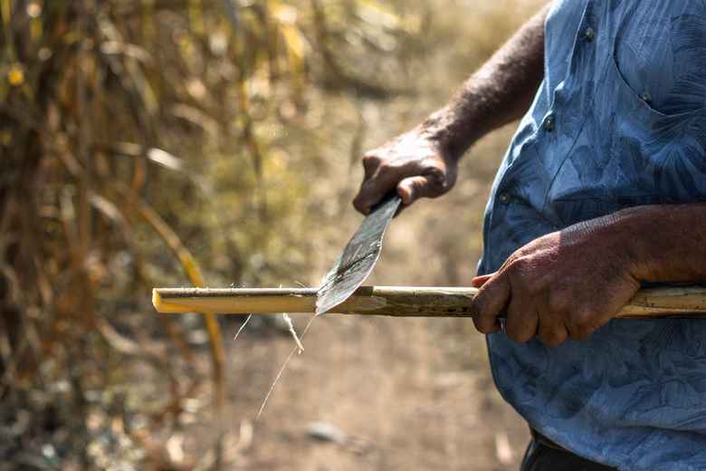 VIVE Sustainable Supply Programme ผู้ให้บ...