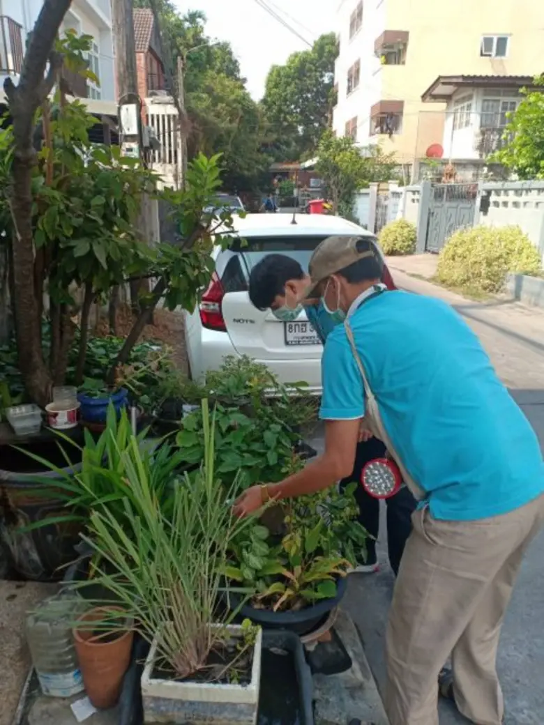 กำชับเฝ้าระวังป้องกันโรคไข้เลือดออก - รณรงค์กำจัดแหล่งเพาะพันธุ์ยุงลายในตลาดและที่พักอาศัย