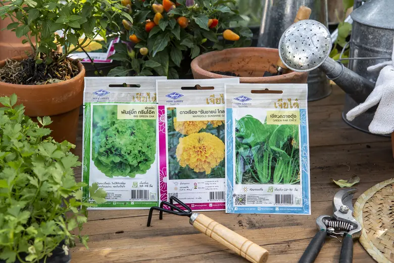 เจียไต๋ เปิดตัวซองเมล็ดพันธุ์โฉมใหม่ ชูแนวคิด "ปลูกง่าย สไตล์คุณ"