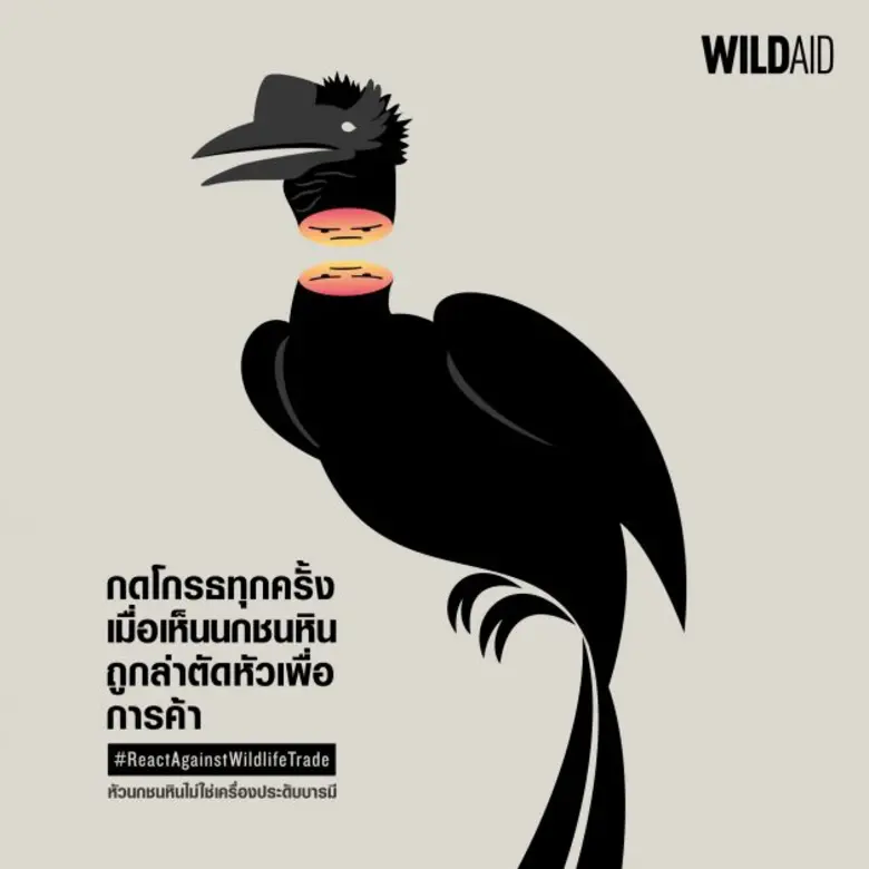 องค์กรไวล์ดเอด ชวนทุกคนหยุดยั้งการค้าสัตว์ป่าผิดกฎหมาย ออนไลน์-ปฏิเสธการบริโภคเมนูฉลาม