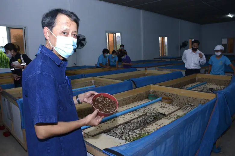 มกอช. ยกนิ้ว จิ้งหรีดแปลงใหญ่ท่าชัย พร้อมดันขยายลูกฟาร์มมาตรฐาน