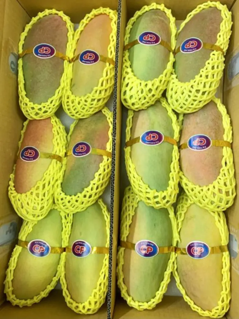 ไทยเฮเกาหลีใต้ ไฟเขียวไทยส่งออกมะม่วงมหาชนกครั้งแรกของประเทศ คาดทำรายได้เพิ่ม จากเดิมส่งออกเพียง  3 ชนิดทำรายได้กว่า  700  ล้านบาทต่อปี