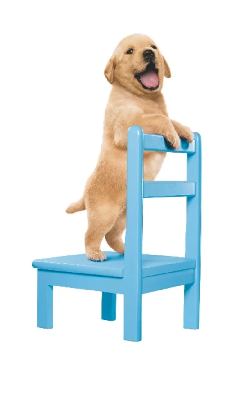 ในช่วงที่ผ่านมาเราเริ่มสังเกตเห็นคนได้พาส...