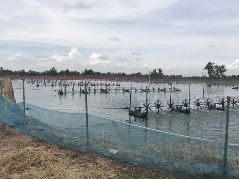 ตามที่กรมประมงได้จัดทำ "โครงการเพิ่มขีดคว...