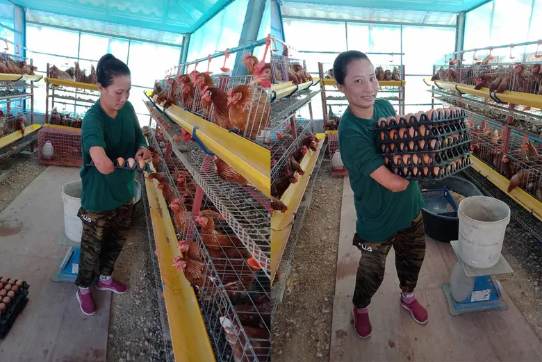 MSIG ต่อยอดหลักธุรกิจ สร้างความยั่งยืนให้สังคมด้วยการสนับสนุนอาชีพแก่คนพิการ