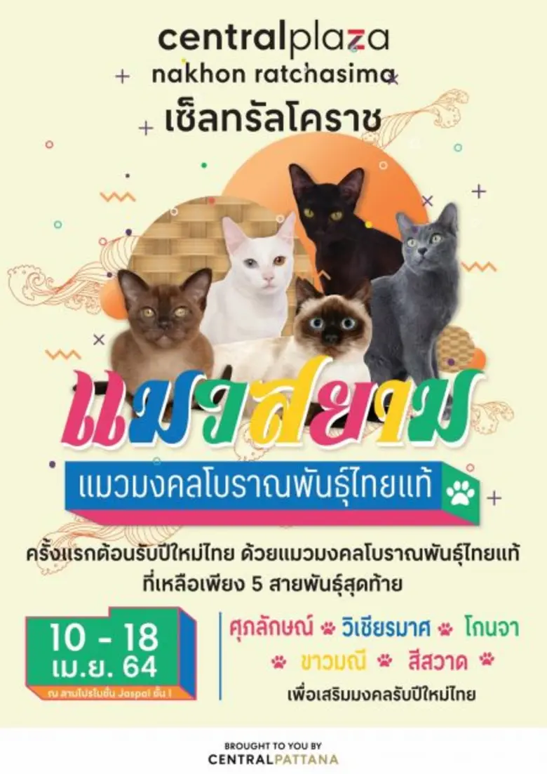 ศูนย์การค้าเซ็นทรัลพลาซา นครราชสีมา ร่วมก...