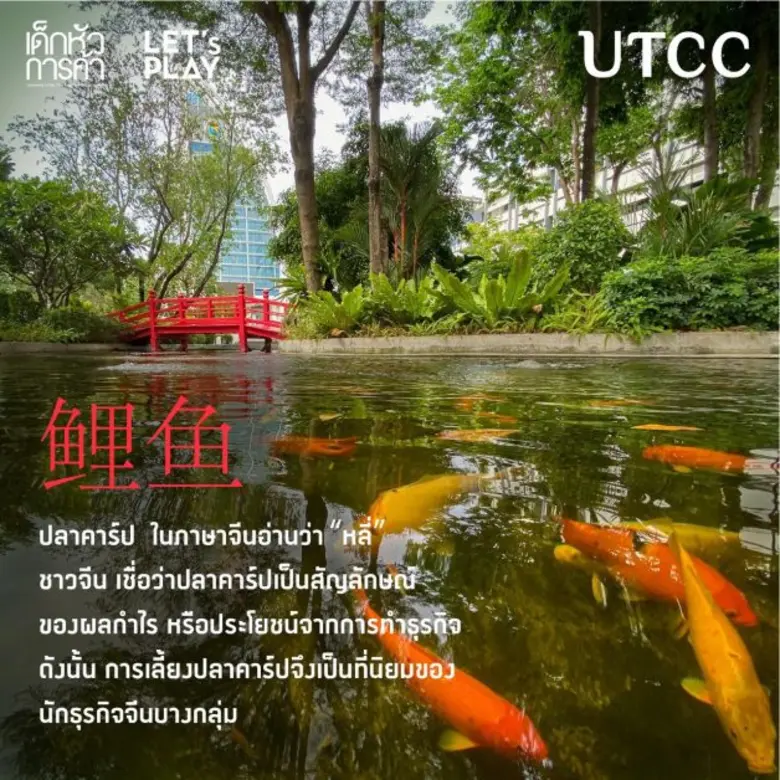 เด็กหัวการค้าทุกคนเคยสังเกตปลาคาร์ปที่อยู...