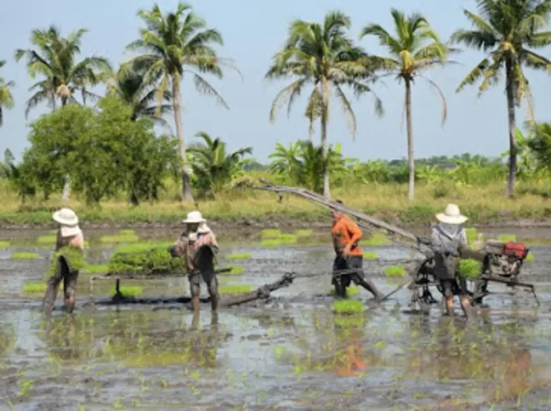 ม.มหิดล คิดค้นนวัตกรรมน้ำยาบ้วนปากจากสารสกัดข้าวไทย เพื่อผู้ป่วยสูงอายุที่มีปัญหาโรคในช่องปาก และต่อยอดนวัตกรรมเพื่อลดผลข้างเคียงจากการรักษาโรคมะเร็งศีรษะและลำคอ