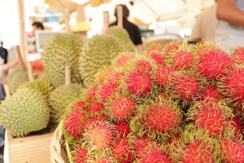 เกษตรฯ เผยสถานการณ์ผลผลิตและการเก็บเกี่ยวผลไม้ภาคตะวันออก ปี'64 ราคาพุ่ง