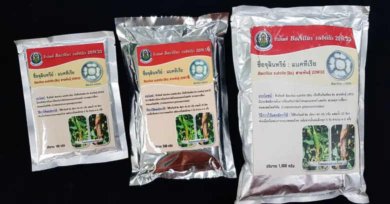 กรมวิชาการเกษตร เล็งออกประกาศเอื้อขึ้นทะเ...