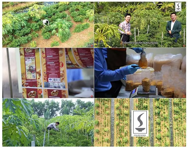 โฟร์ ฟูดส์ คัดสรรวัตถุดิบคุณภาพ ถึงหน้าสวน เพื่อให้ตรงตามความต้องการของลูกค้า