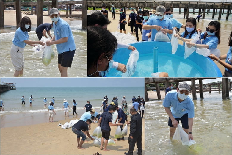 ร่วมปล่อยพันธุ์สัตว์น้ำคืนสู่ธรรมชาติ ฟื้นฟูคืนสมดุลระบบนิเวศท้องทะเลไทย
