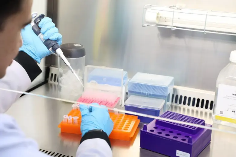 Strip Test ชุดตรวจสอบการปลอมปนเนื้อสัตว์ต...