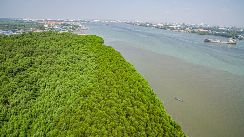 "ดิน น้ำ ป่า" ทรัพยากรธรรมชาติที่มีความสำ...