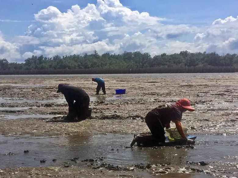 ซีพีเอฟ ร่วมฟื้นฟูความหลากหลายทางชีวภาพ สร้างอาหารมั่นคง เพิ่มรายได้ชุมชนท้องถิ่น