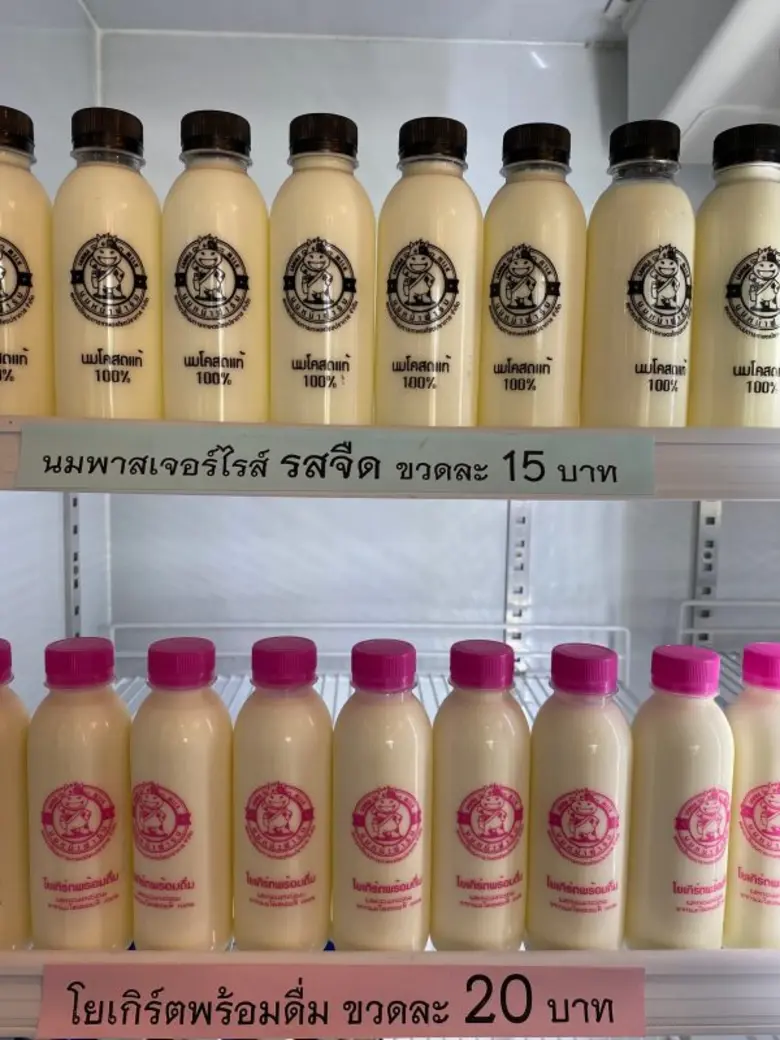 'นมคุณภาพสูงล้านนา' เชียงใหม่ ลำพูน ลำปาง ยกระดับมาจรฐานการผลิตน้ำนมโค สู่การเพิ่มรายได้เกษตรกร