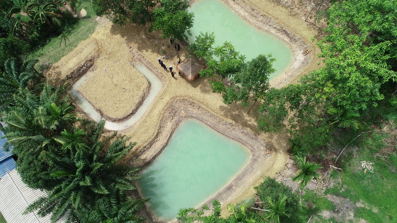 "พช.พัทลุง โชว์ที่สุดความสวยงาม ทุกแปลงกา...