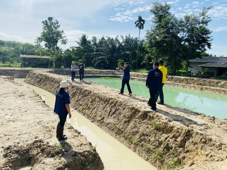 "พช.พัทลุง โชว์ที่สุดความสวยงาม  ทุกแปลงการขุด "โคก หนอง นา พช." ในพื้นที่อำเภอบางแก้ว ผู้นำ และเครือข่ายประทับใจ