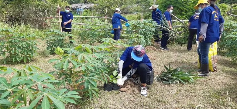 พัฒนาชุมชนจังหวัดนครศรีธรรมราช ผนึกกำลังท้องถิ่นท้องที่ เดินหน้าปลูกผักสวนครัวสร้างความมั่นคงทางอาหาร รอบ 2