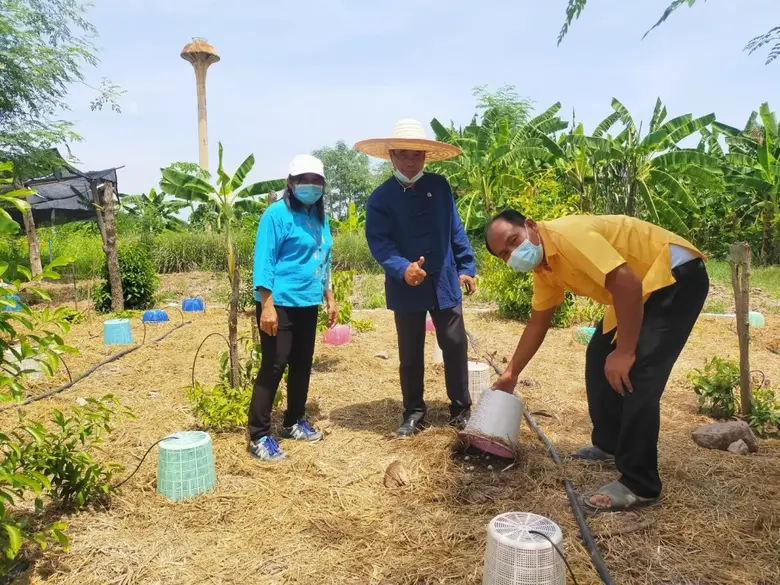 จังหวัดบุรีรัมย์ - พช.บุรีรัมย์ ลุยขับเคลื่อนสารสนเทศตำบลต้นแบบสู่ 100 เปอร์เซ็นต์ ของครัวเรือนในพื้นที่ สร้างความมั่นคงทางอาหาร