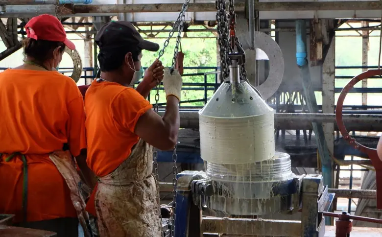 การยางแห่งประเทศไทย (กยท.) ยืนยันส่งออกยา...