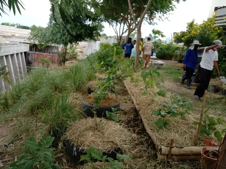 ผู้บริหารจังหวัดสระบุรี ปลื้ม ปฏิบัติการ 90 วัน ชวนพช.ปลูกผักสวนครัว เพื่อสร้างความมั่นคงทางอาหาร เฟส 2 ที่บ้านพักรองผู้ว่าราชการจังหวัด