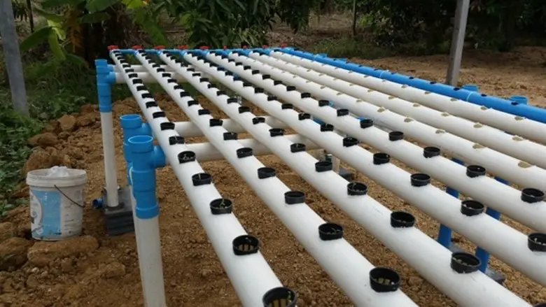 ผักไฮโดรโปนิกส์ ปลูกง่ายไร้ดินด้วยท่อพีวีซี