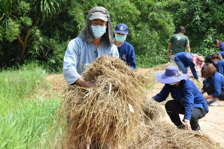 พช.เลย เอามื้อสามัคคีไทเลย ตอกย้ำอุดมการณ์ สานต่องาน "โคก หนอง นา พช." ร่วมใจ คืนชีวิตให้แผ่นดิน