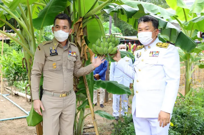 อธิบดี พช. น้อมนำพระกรุณา "กรมสมเด็จพระเทพฯ" ถวายผ้าไตรพระราชทาน ทอดผ้าป่าการกุศล วัดโพนงาม ฉะเชิงเทรา