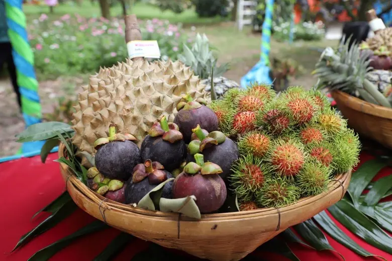 "รมช.มนัญญา" เปิดงาน Kick Off เริ่มต้นฤดูกาลเก็บเกี่ยวทุเรียนเมืองอุทัยธานี