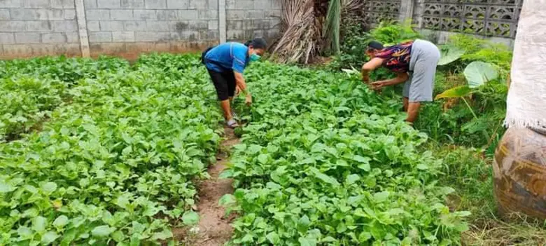 "สามัคคี คือ พลัง" บ้านท่าช้าง วัดโบสถ์ พิษณุโลก เมือง 3 ธรรม สร้าง "1 ตำบล 1 ถนนกินได้"