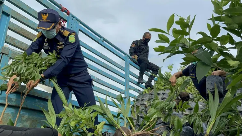 กรมวิชาการเกษตร รวบรถบรรทุกเตรียมขน 4 พืชสงวนไทยราคานับแสนส่งออกนอกประเทศ