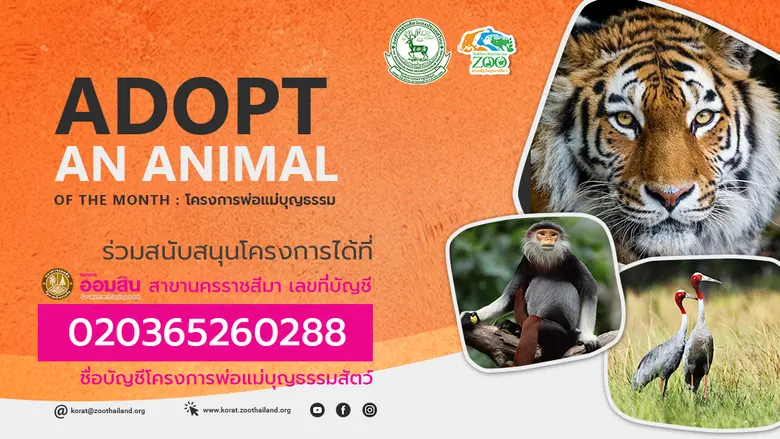 สวนสัตว์นครราชสีมา จัดทำโครงการ Adopt an ...