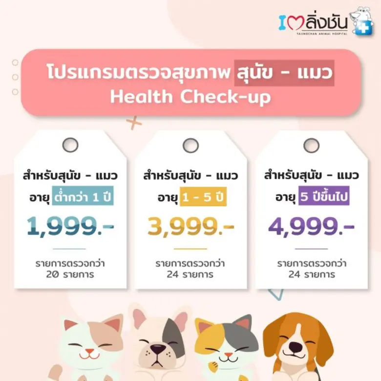 โรงพยาบาลสัตว์ตลิ่งชัน (Talingchanpet) เอ...